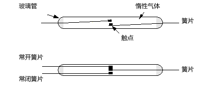 雙簧片和三簧片的干簧管（磁簧開關(guān)）